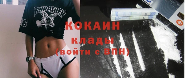 соль ск Надым